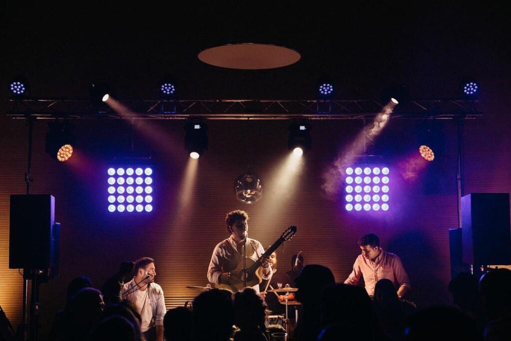 Grupo musical dando show nocturno